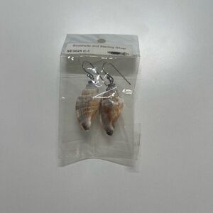 Seashell earrings